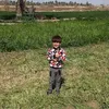 user10486004550011