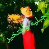 rinadhmamou