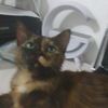 clementeishere