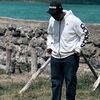 boss_mtoto001