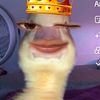 anggicun06