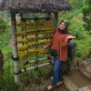 febrilestari513