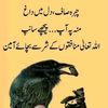 awais.sss2