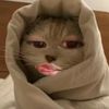 yyfa_00
