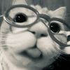 miawwchha