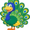 peacock_4u
