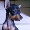 luciaoliveira4174