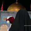 kaneez_e_zahra1214