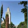 mohamedhakoum83