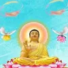 phamcong883