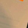 alem25459