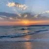 1shahd_297