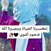 user3871529956233