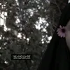 z_an_18b