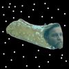 obiwan.kannoli