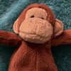 ted_the_monkey_