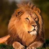 nour.samar