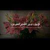 mariam.elkattan