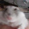 sophiaconnelly7