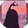 user5vydc6dhrk