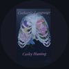 carley_writes