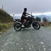 carrillo_341