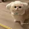 changthigao