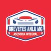 brevetes.anlu.mg