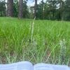 yuly_77_
