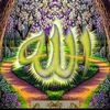 misbahmisbah962