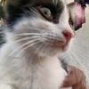 yariyya_02