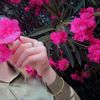lamiye_ehmedova_024