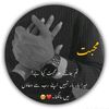 im.fine459