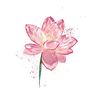 jjnuy1