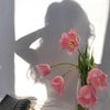 m_aram81