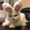 llnthao