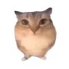 kermltuk