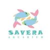 Savera Aquarium