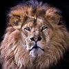 sultan__gaida
