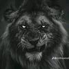 kareem07608