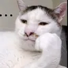 huyfahahaha