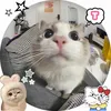 kobtcanhiu