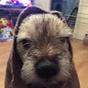 gary_electricity