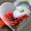 user88611581769628