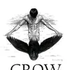 crow18.4