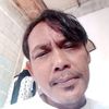bokir_plantshope