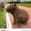 ehnoisga
