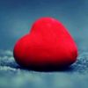 maheen.shah08