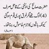 allah.badshah35