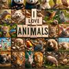 animalstimestk